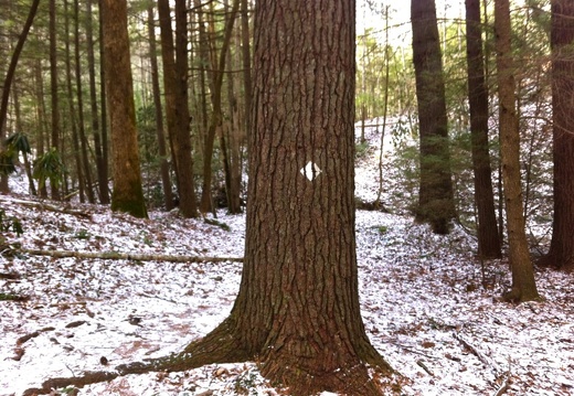 Red River Gorge - 21